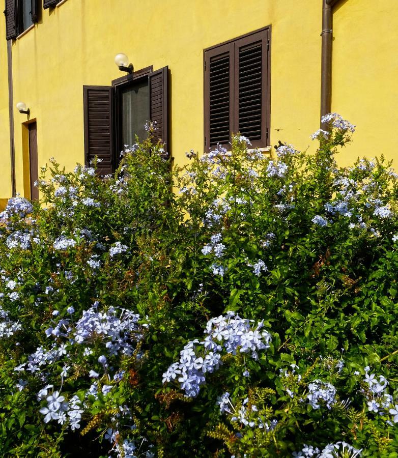 Vistazzurra B&B Анкона Экстерьер фото
